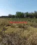 Парцел в Димитровград кв. Черноконево, снимка 4