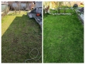 Косене на дворове, райграс, аериране, кастрене на клони, снимка 2