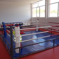 Боксов ринг тренировъчен 4х4 м BG2.2 , снимка 1 - Бокс - 45269113