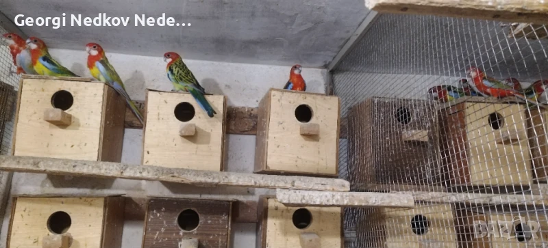 Продавам розели, снимка 1