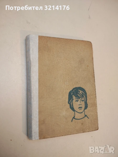 Отминало лято - Петър Абел, Пал Прукнер, снимка 1