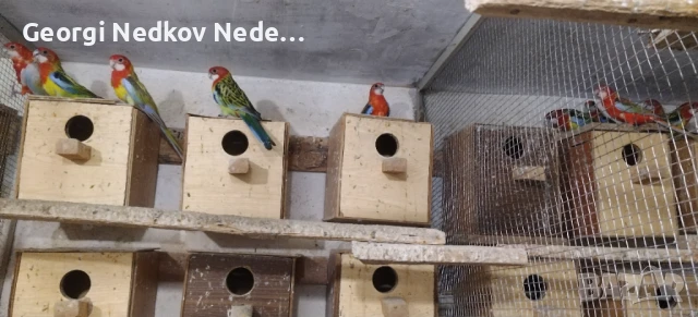 Продавам розели