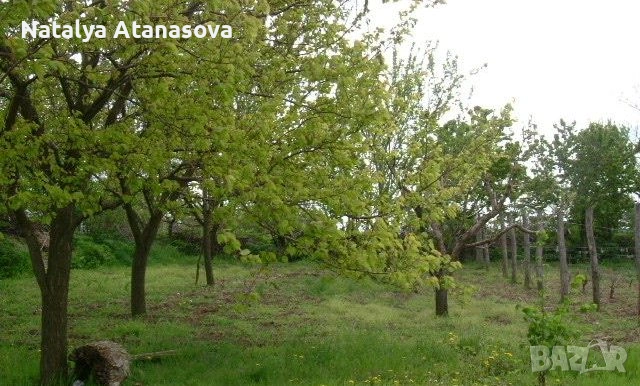 Купете новия си имот в анклава на Ведрина!, снимка 7 - Къщи - 53756929