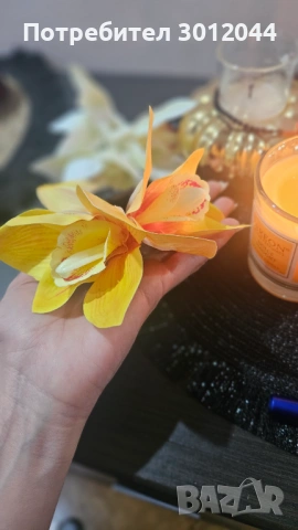 Шнола, снимка 4 - Аксесоари за коса - 53919129