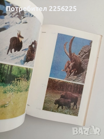 Книга за ловеца и риболовеца, снимка 6 - Специализирана литература - 52222399