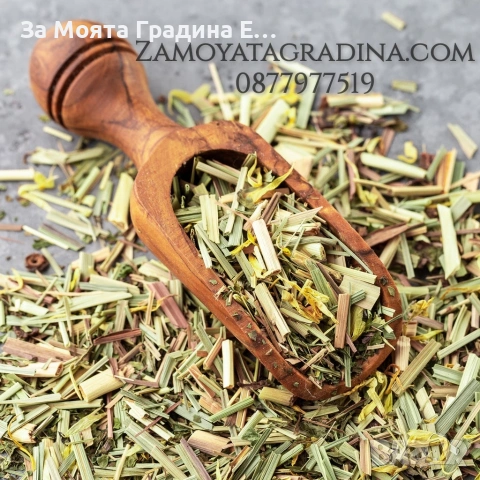 Лимонена трева за чай, настинка и т.н , снимка 8 - Градински цветя и растения - 53635002