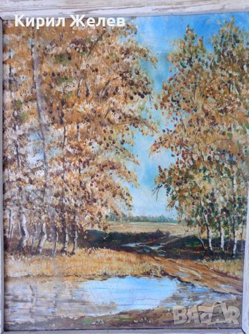 Александър СИМЕОНОВ / Бургас ЖИВОПИСНА АВТОРСКА МАСЛЕНА КАРТИНА ГОРСКИ ПЕЙЗАЖ, снимка 1 - Картини - 45578765
