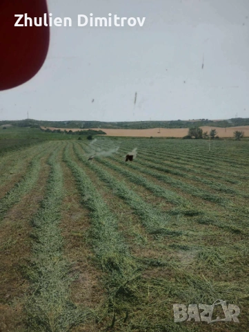 Люцерна 1-ви откос, снимка 2 - Други стоки за животни - 54091117