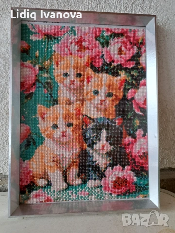 Диамантен гоблен котки-готов и рамкиран