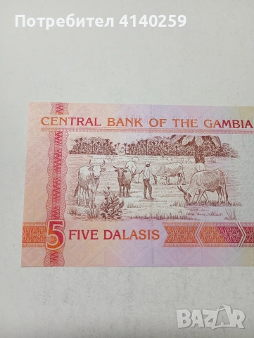 ГАМБИЯ БАНКНОТА , снимка 5 - Нумизматика и бонистика - 53868557