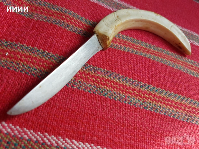 Нож от бивна , снимка 2 - Ножове - 53870548