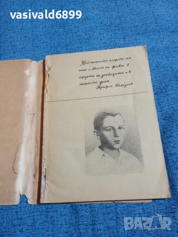 Трифон Палаузов - Митко, синът на отряда , снимка 4 - Българска литература - 53589451