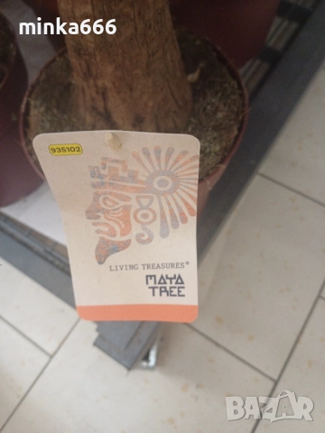 Дамска жилетка, снимка 3 - Жилетки - 52458869