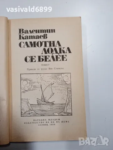 Валентин Катаев - Самотна лодка се белее, снимка 4 - Художествена литература - 48702526