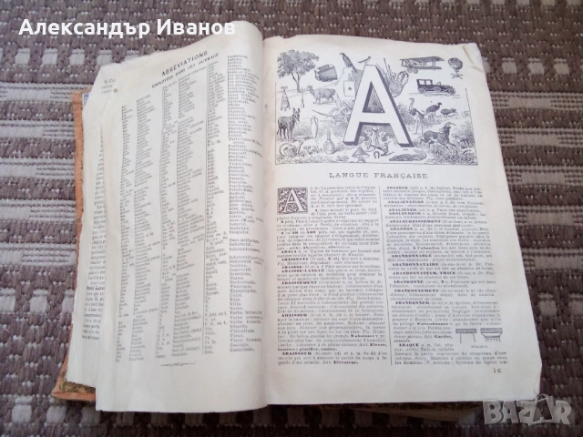 Стара френска енциклопедия LAROUSSE 1938 г., снимка 3 - Енциклопедии, справочници - 51623928