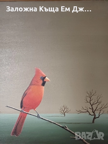 Картина червена птица на Иван Христов - Грога, снимка 2 - Картини - 51934644