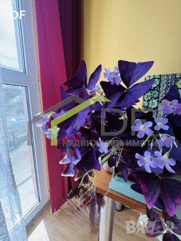 Къща с. Кичево, снимка 2 - Къщи - 54226074