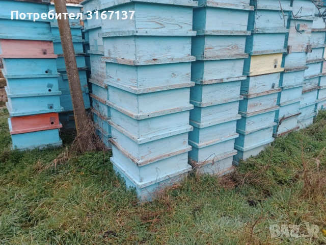 Кошери , снимка 3 - Други - 53579798