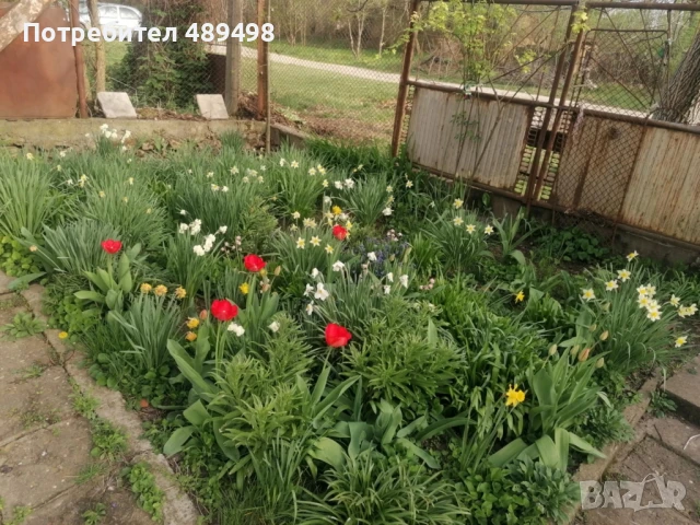 Продавам къща в с. Галиче , снимка 4 - Къщи - 39043302