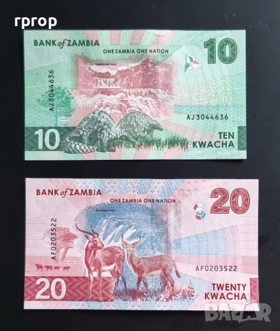 Замбия . 10 и 20 квача. 2024 година. Най новата серия. UNC. Цената е за двете банкнати., снимка 2 - Нумизматика и бонистика - 43323408