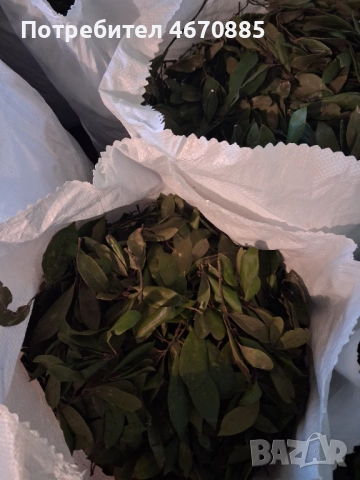 Дафинов лист