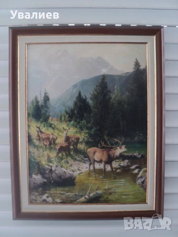 Картини на животни - репродукции, снимка 2 - Картини - 31437451