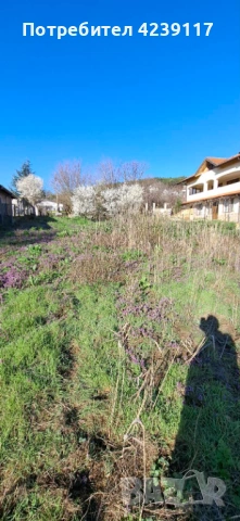 Собственик продава Дворно Място в с. Рогачево, снимка 3 - Парцели - 54112941