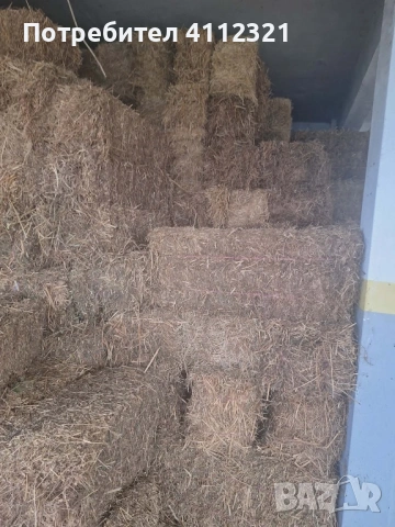 Бали люцерна - доставка на място , снимка 2 - За селскостопански - 53218939