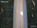 Садху-дъски за гвоздестоене с перфектни пирони и разстояния 9-11-13мм.!, снимка 6