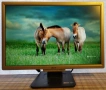 Монитор: Acer AL2216W, снимка 9