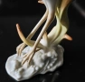 Hutschenreuther Achtziger Germany Porcelain Heron / Crane Bird “Жеръвът” Код P2239, снимка 7