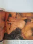Ретро списание Пентхаус 1990 г, снимка 2