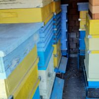 Продавам 9 броя пчелни кошери Дадан Блат 12 рамкови, снимка 16 - За пчели - 45072539