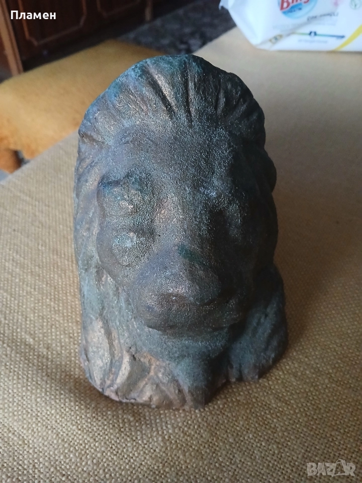 лъв, снимка 1