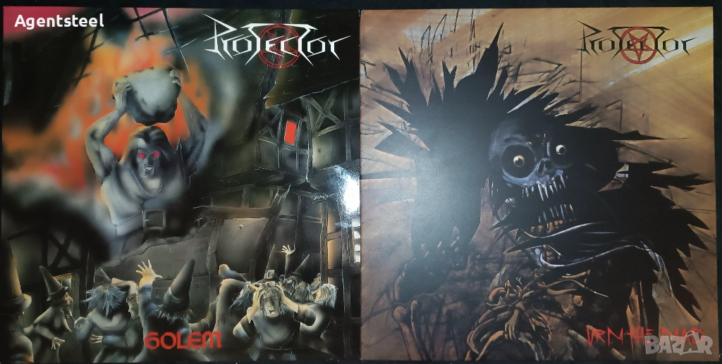 Грамофонни плочи на PROTECTOR, снимка 1