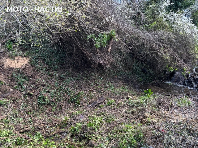 Косене на трева | Рязане на дървета | Почистване | Извозване., снимка 9 - Други почистващи услуги - 54129586