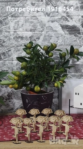 8 март! Направи го не забравим., снимка 2 - Други - 53712875