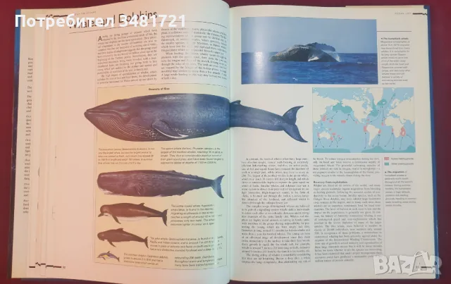 Атлас на океаните / Rand McNally Atlas of The Oceans, снимка 7 - Енциклопедии, справочници - 47236079