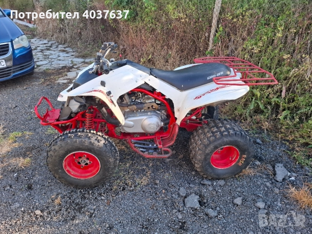 Can-Am DS 250 2009 , снимка 8 - Мотоциклети и мототехника - 52060885