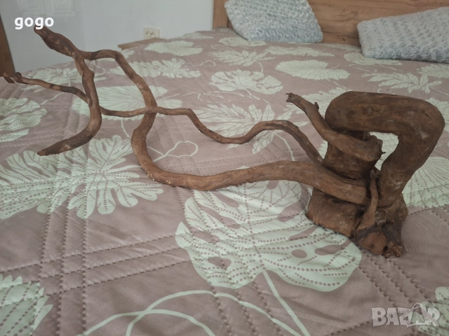 Корен за Аквариум , снимка 4 - Оборудване за аквариуми - 52511615