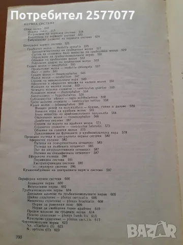 Анатомия на човека- Учебник за студенти по Медицина , снимка 12 - Специализирана литература - 48024946