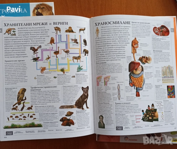 Илюстрована семейна енциклопедия 16 тома, снимка 4 - Енциклопедии, справочници - 52189886