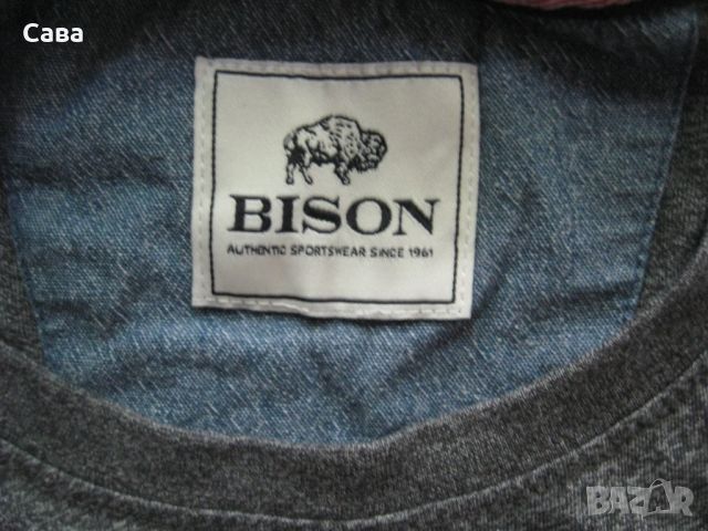 Тениски BISON  мъжки,Л-ХЛ, снимка 9 - Тениски - 46024072