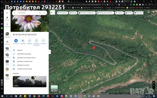 Продава гора Видинско, снимка 3 - Земеделска земя - 52703925