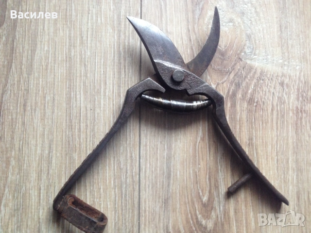 Solingen Hugo Koller немски лозарски градински ножици Солинген, снимка 2 - Други инструменти - 53469911