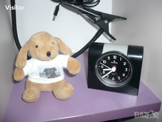 Panasonic Lumix DMC-FX10 , снимка 12 - Фотоапарати - 53669103