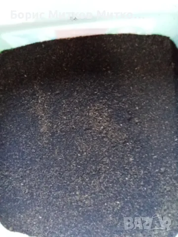 Био семена от тученица при диабет , снимка 2 - Други - 48728788