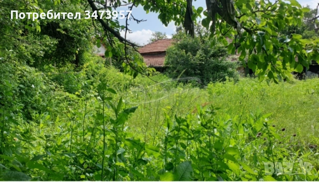 Продава се имот в с.Горно Павликене., снимка 14 - Къщи - 54118856