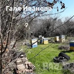 Два парцела в с.Оряховица, снимка 2 - Парцели - 49889250