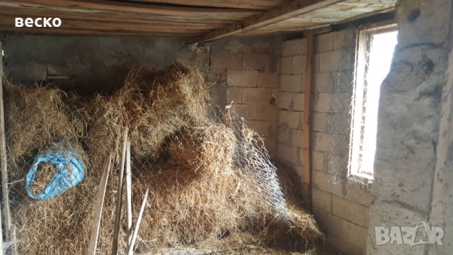 Продавам къща в село червенци от собственик, снимка 4 - Къщи - 53979851